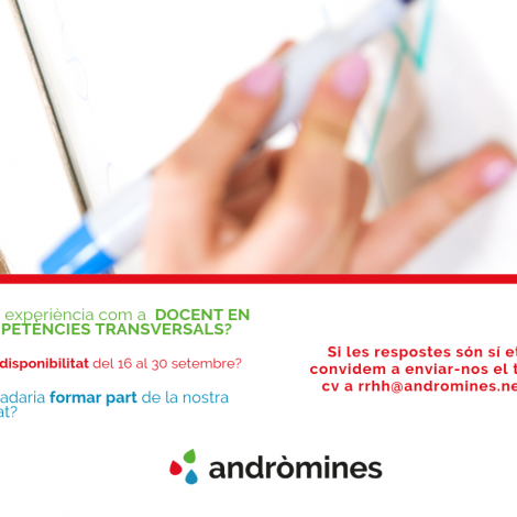 Treballa amb nosaltres: docent en competències transversals
