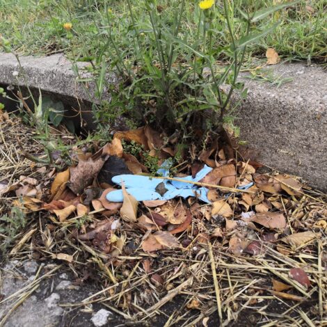 Articles d’un sol ús: mascaretes i guants