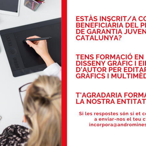 Oferta de treball dissenyador/a d’elements gràfics i multimèdia