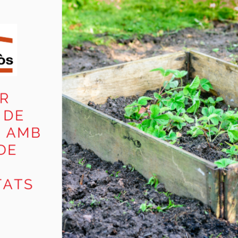 Reaprofita palets per fer tancats de jardineria