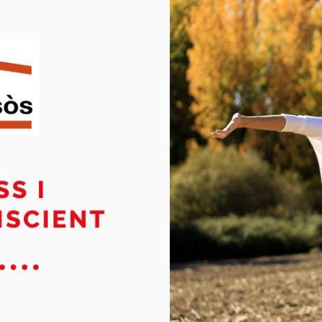 Viu el present amb el Mindfulness