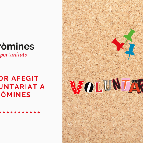 El valor afegit del voluntariat a Andròmines