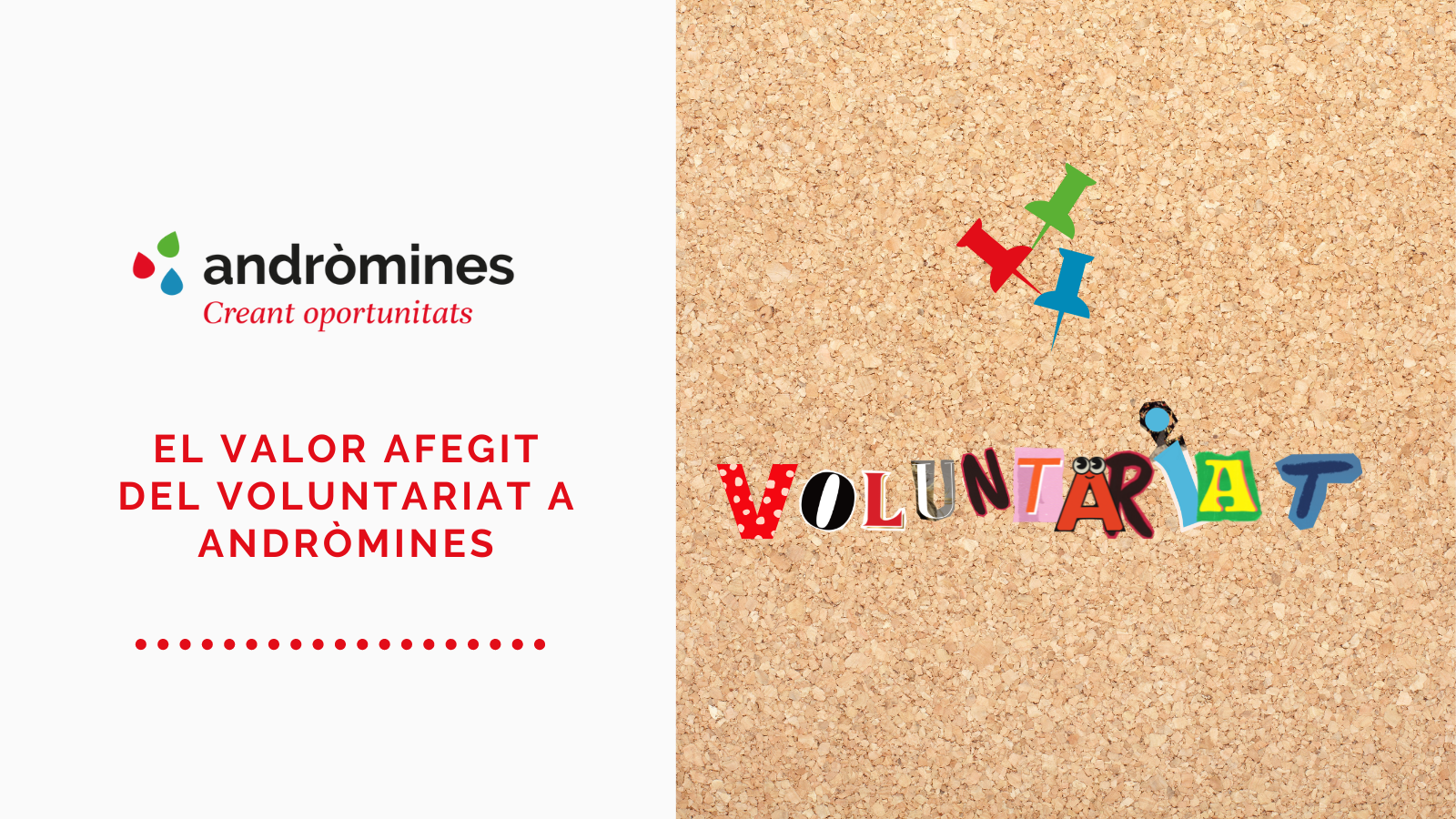 El valor afegit del voluntariat a Andròmines