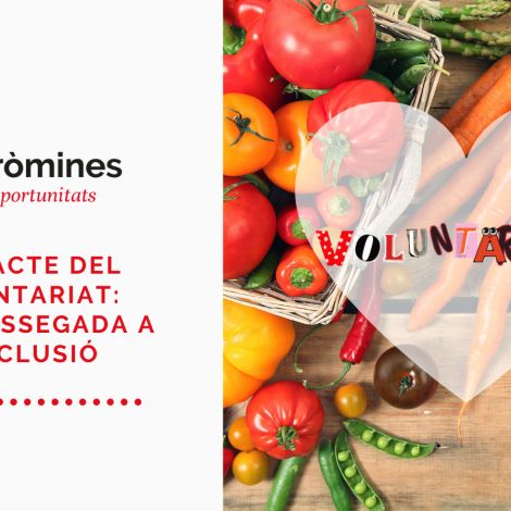 L’impacte del voluntariat: una Mossegada a l’Exclusió