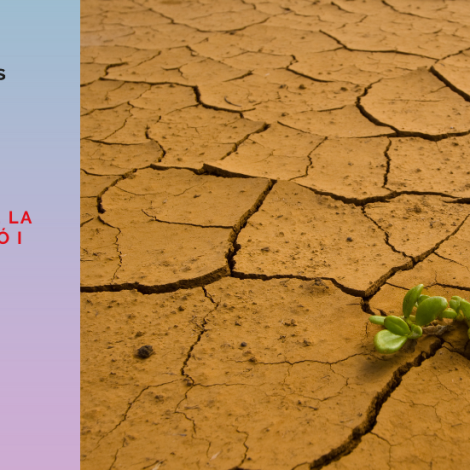 Preservar l’aigua: petits canvis que marquen la diferència