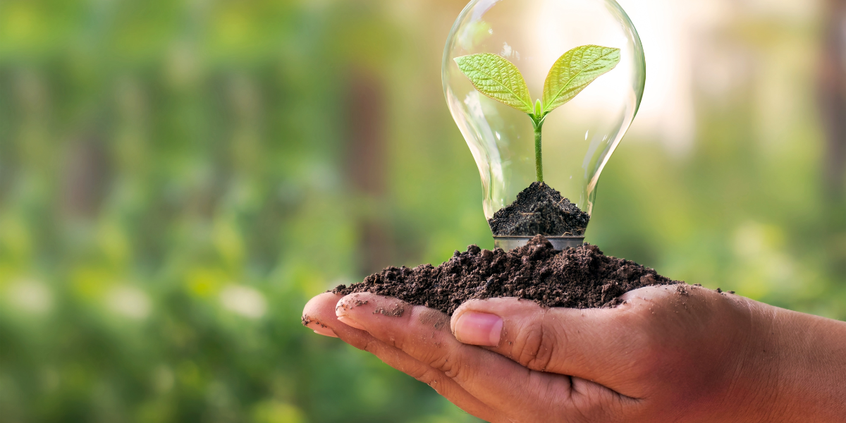 ¡Trabaja con nosotras! 5 ofertas para cambiar el futuro