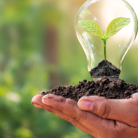 Treballa amb nosaltres! 5 ofertes per canviar el futur