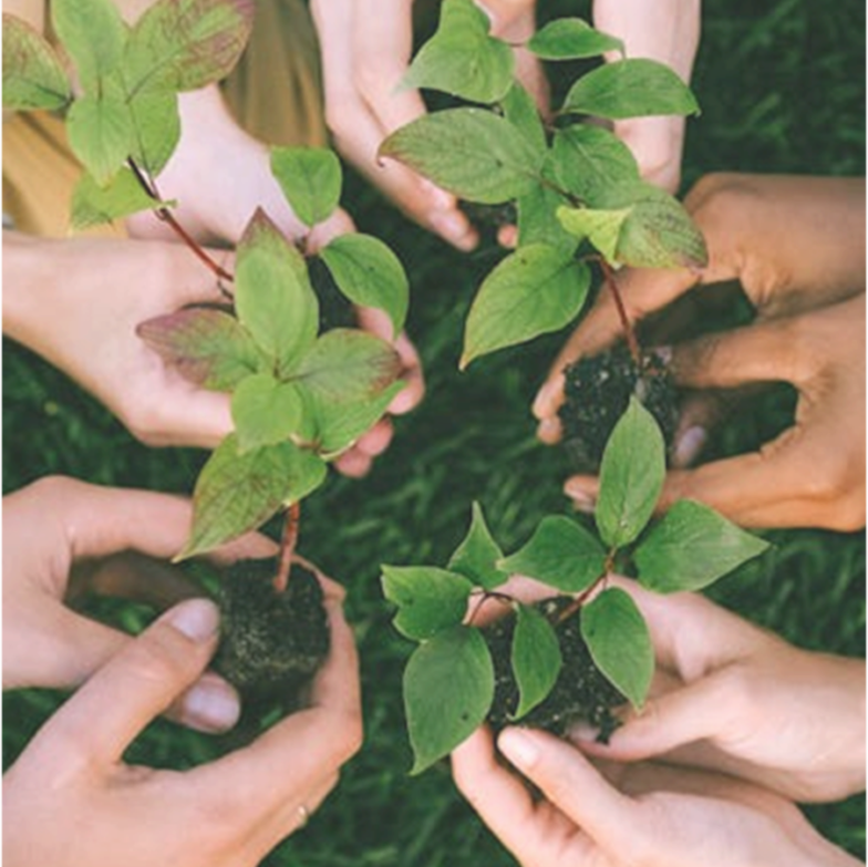 Nace GreenJobsLab: una iniciativa para impulsar la formación y el empleo verde mediante la innovación Nace GreenJobsLab: una iniciativa para impulsar la formación y el empleo verde mediante la innovación