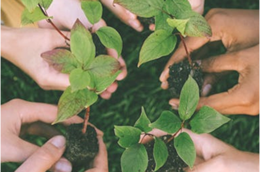 Neix GreenJobsLab: una iniciativa per impulsar la formació i l’ocupació verda mitjançant la innovació Neix GreenJobsLab: una iniciativa per impulsar la formació i l’ocupació verda mitjançant la innovació