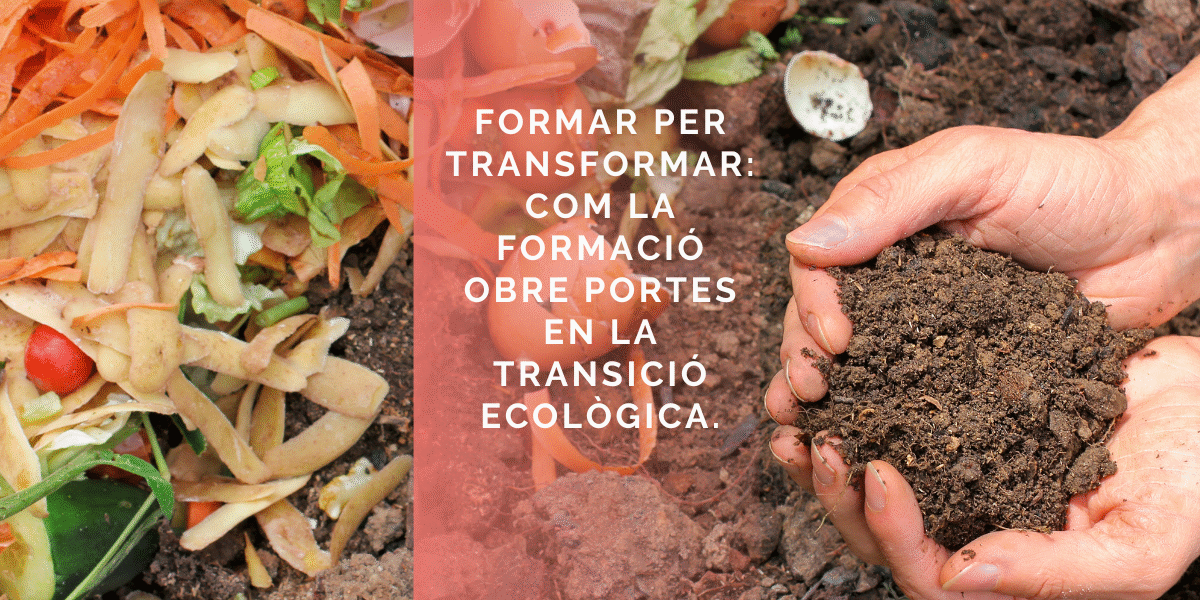 Formar per transformar: com la formació obre portes en la transició ecològica.