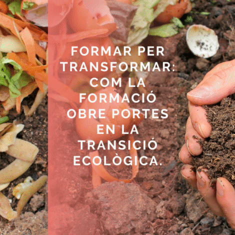 Formar per transformar: com la formació obre portes en la transició ecològica.