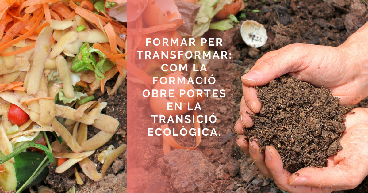 Formar per transformar: com la formació obre portes en la transició ecològica.