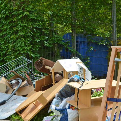 Els voluminosos: un problema ambiental silenciat