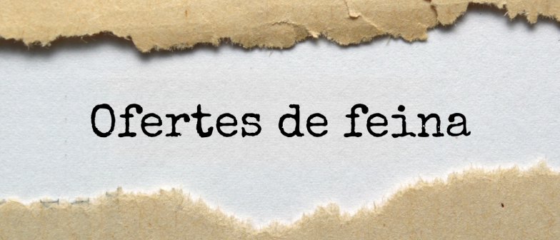 Vols treballar a Andròmines?