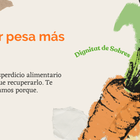 Impacto ambiental del desperdicio alimentario: por qué prevenir pesa más que recuperar