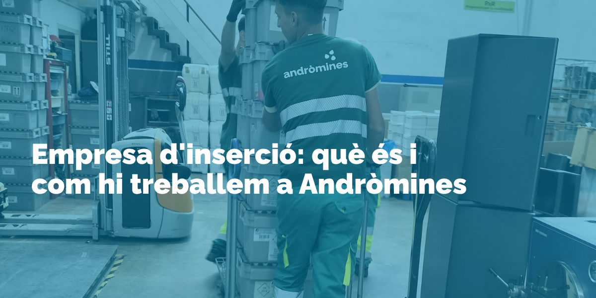 Empreses d’inserció: com funcionen i a qui donen feina