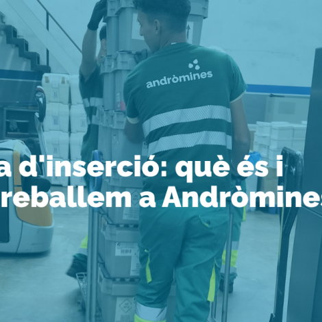 Empreses d’inserció: com funcionen i a qui donen feina
