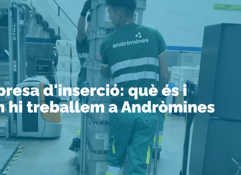 Persona treballant en una empresa d'inserció d'Andròmines