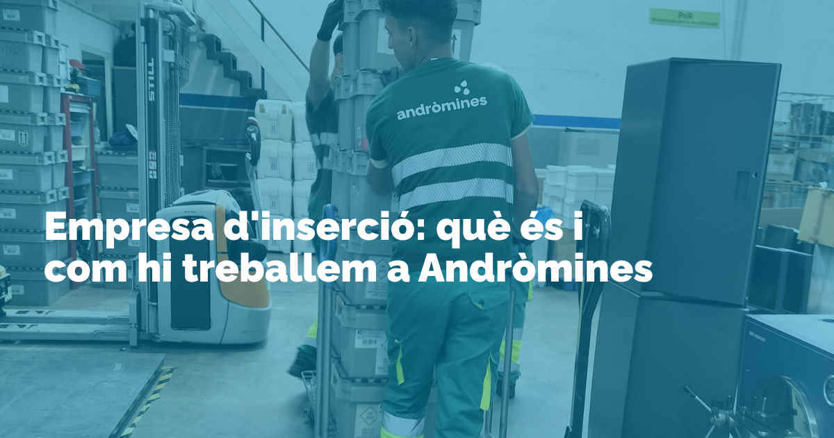 Empreses d’inserció: com funcionen i a qui donen feina