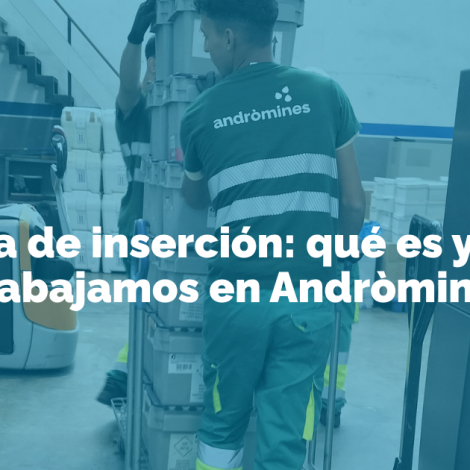 Empresas de inserción: como funcionan y a quien dan trabajo