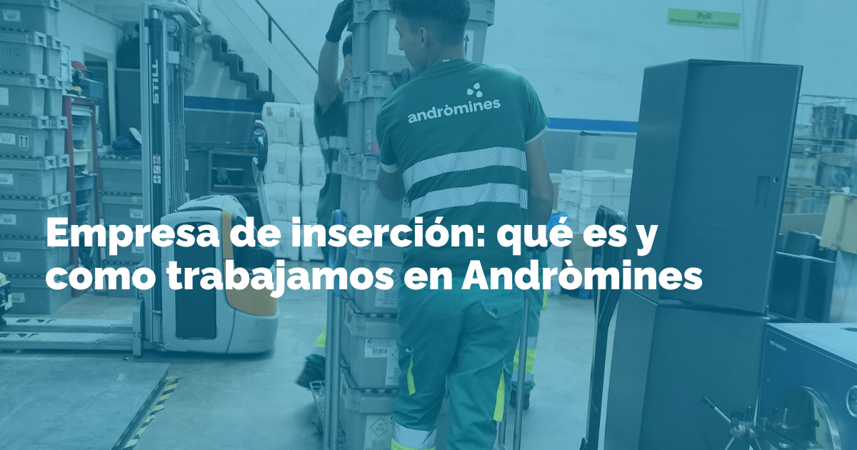 Empresas de inserción: como funcionan y a quien dan trabajo